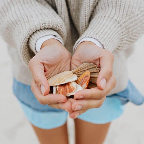 kaboompics_a-young-woman-on-the-beach-is-holding-seashells-18689